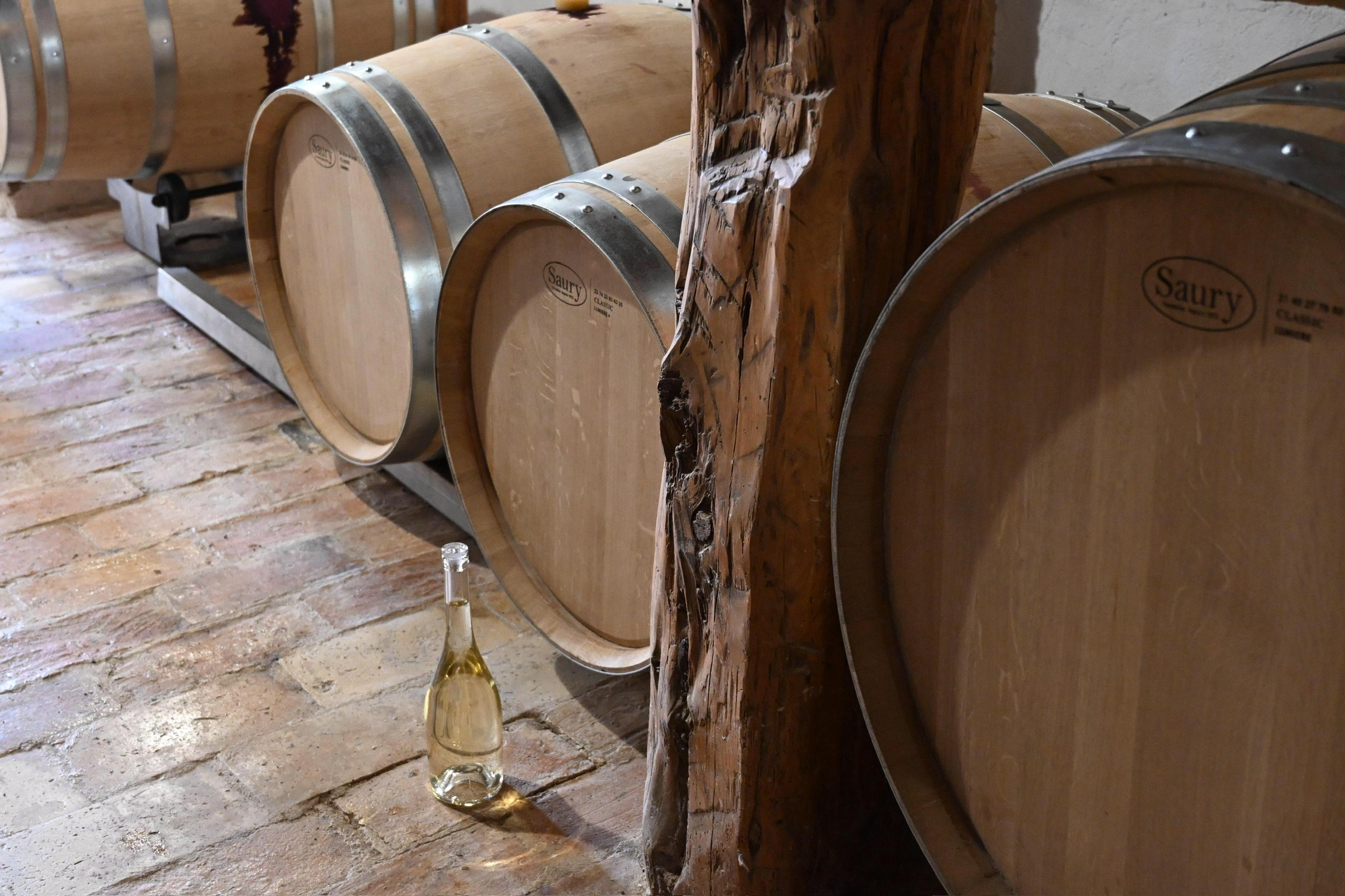 Barricas de roble y botella de Nautilus en la bodega